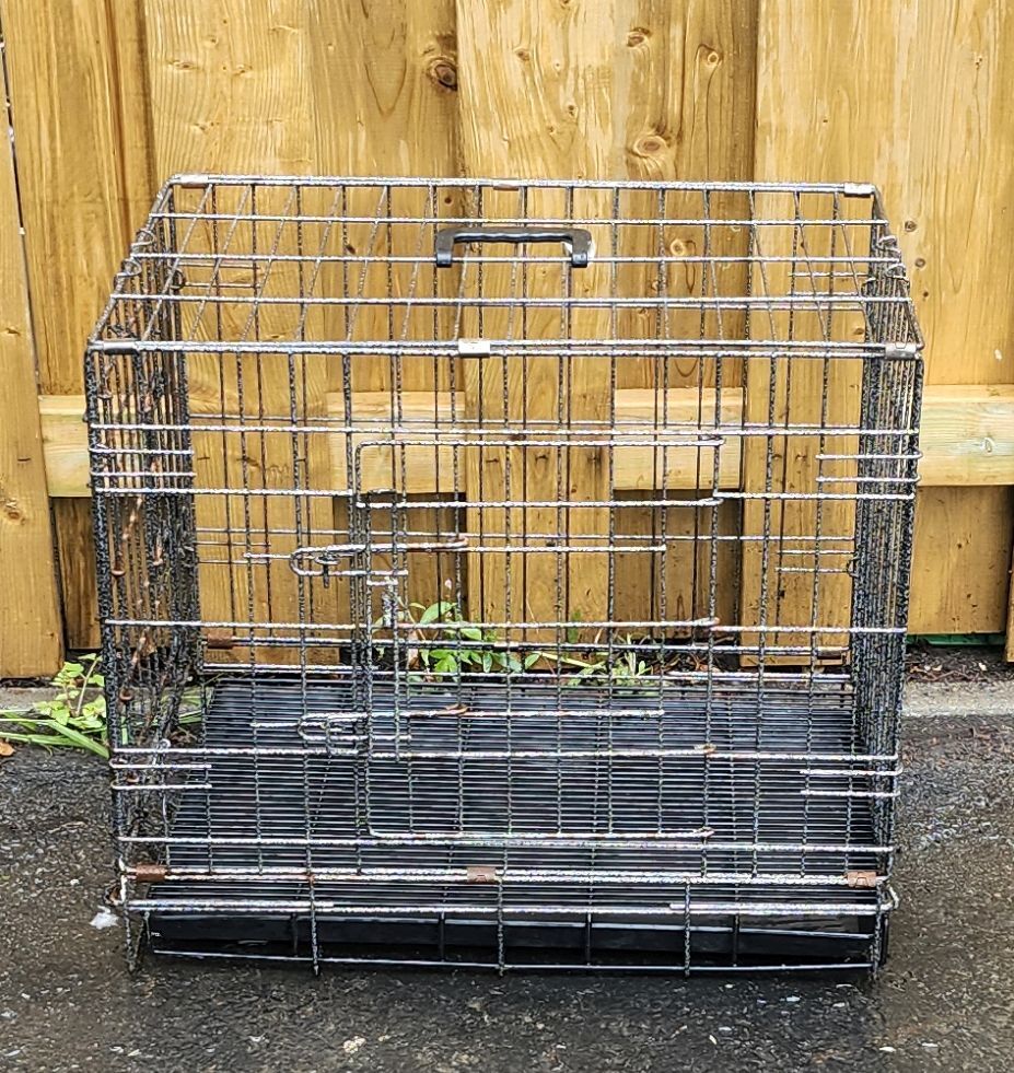 Cage à chien