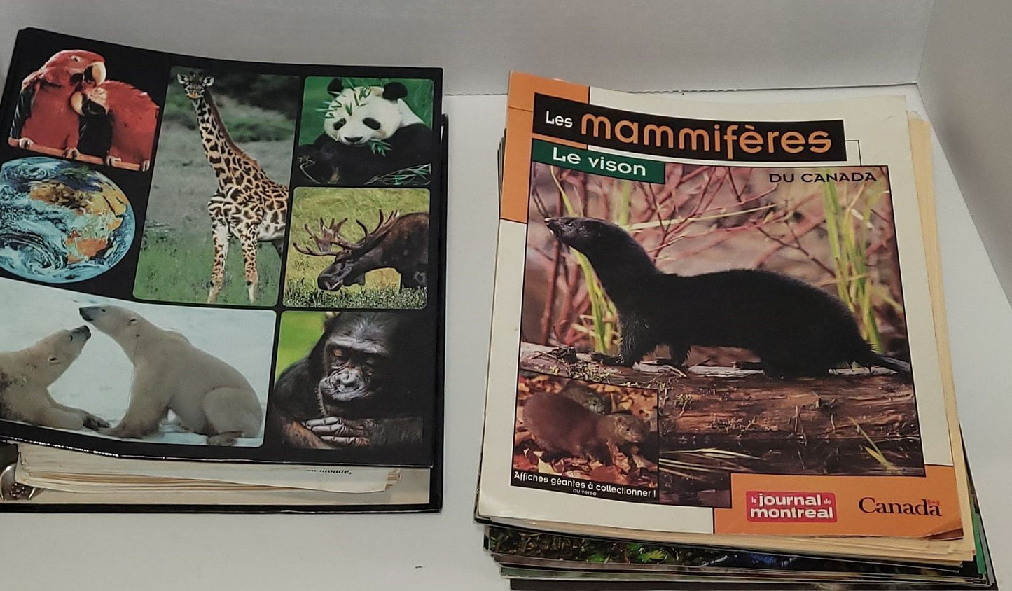 Cartes descriptives sur les animaux