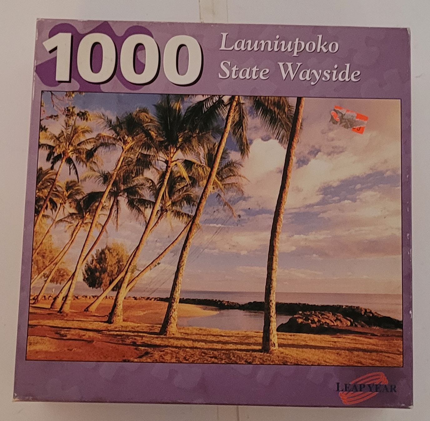 Casse-tête 1000 morceaux LeapYear