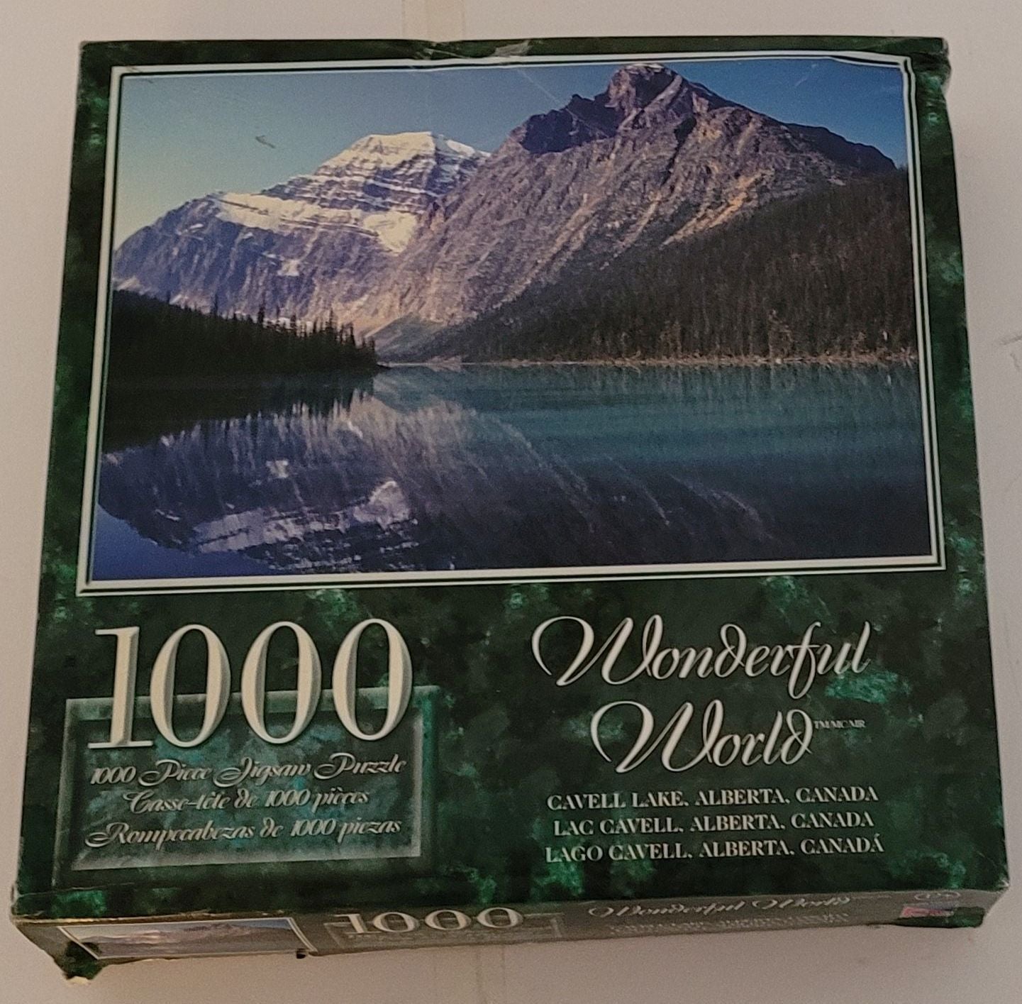 Casse-tête 1000 morceaux Wonderful World