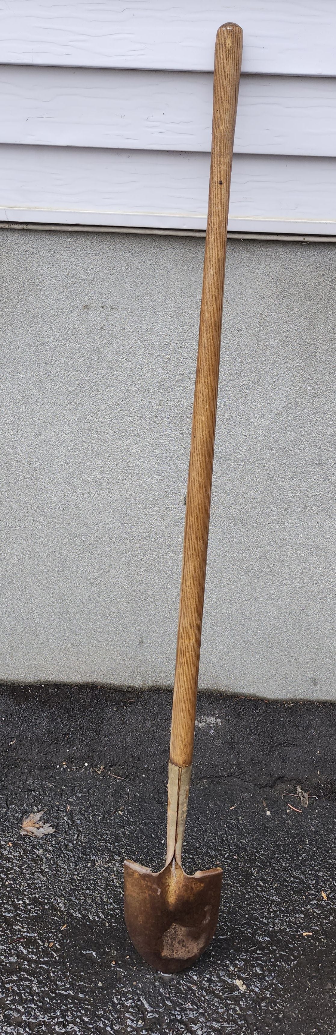 Pelle ronde 54''