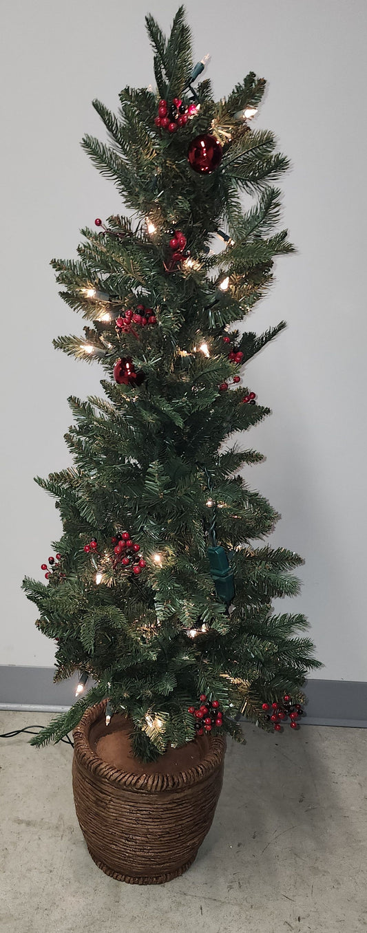 Sapin en pot 4'