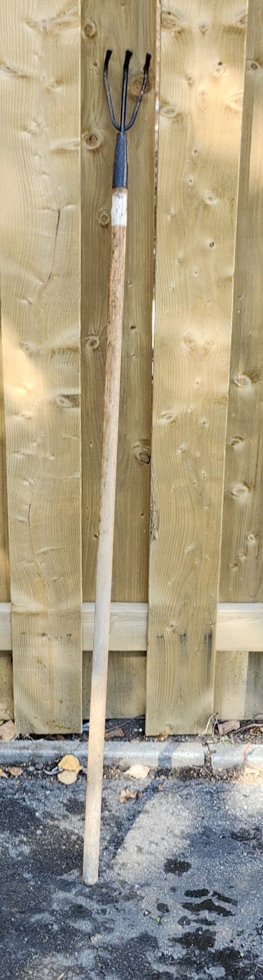 Sarcloir 3 dents