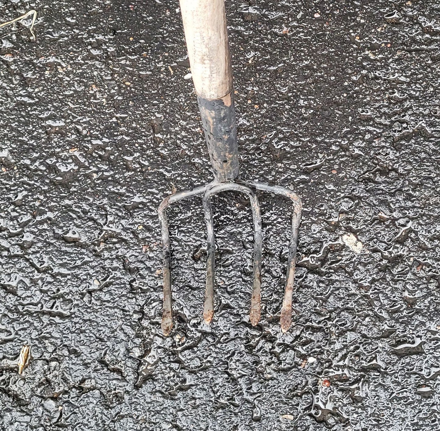 Sarcloir manuel 4 dents