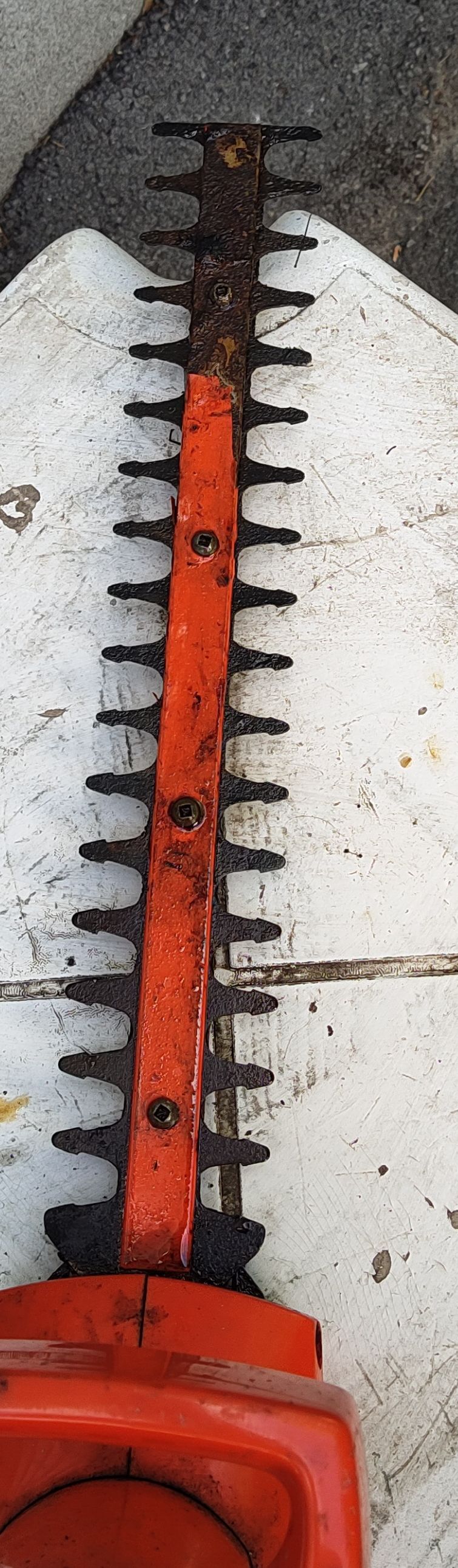 Taille-haie électrique Black N'Decker