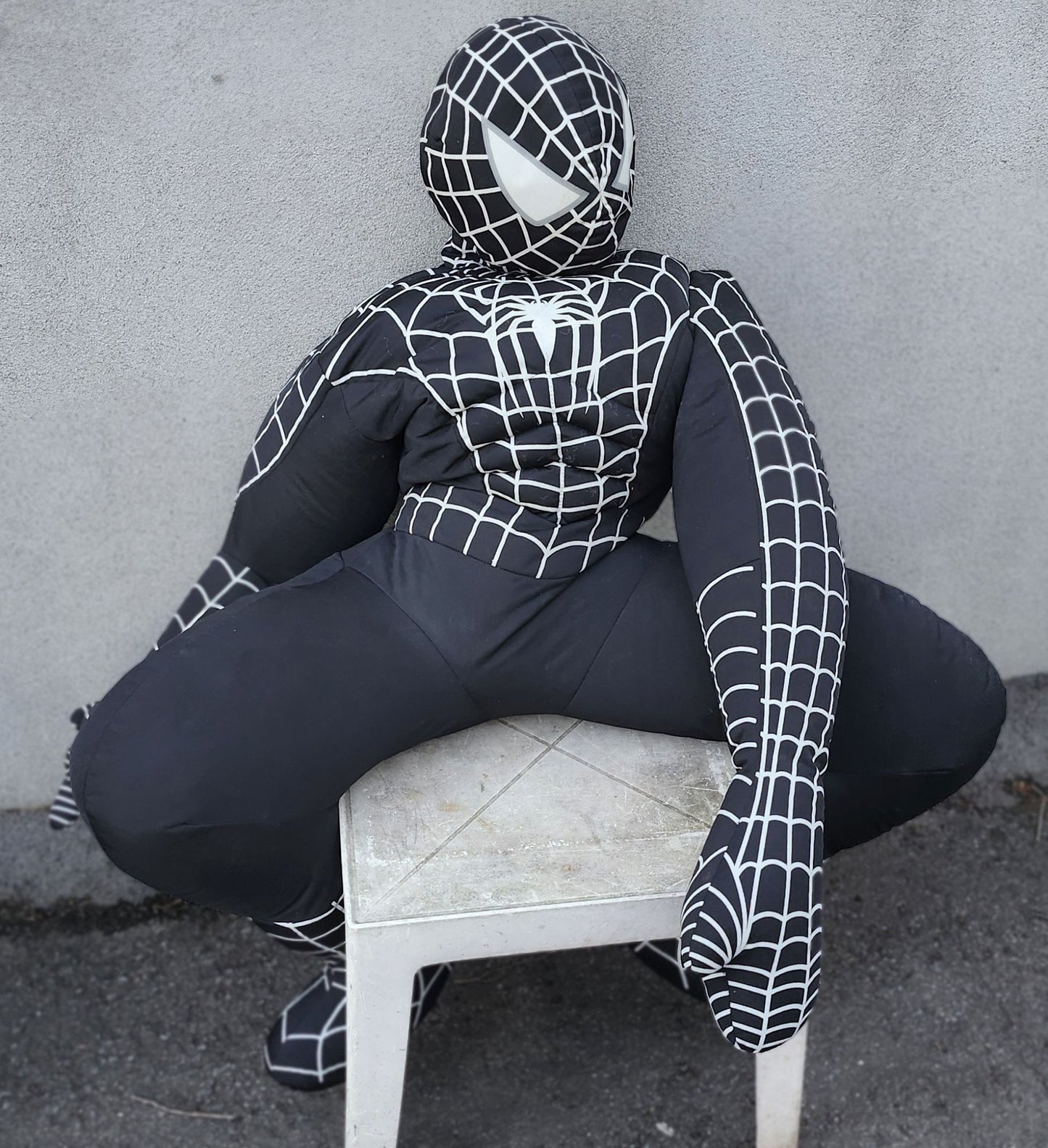 Toutou Spiderman noir