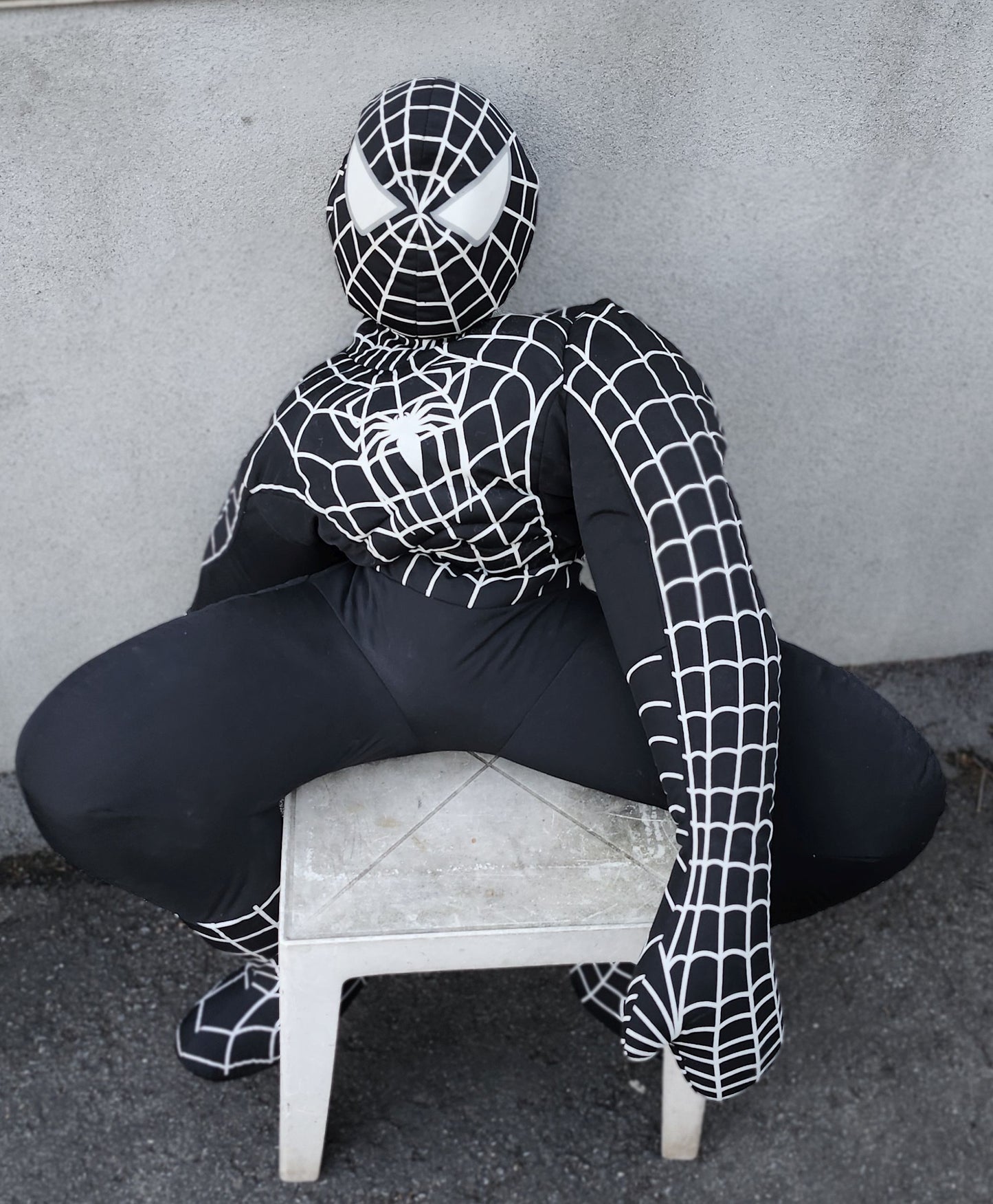 Toutou Spiderman noir