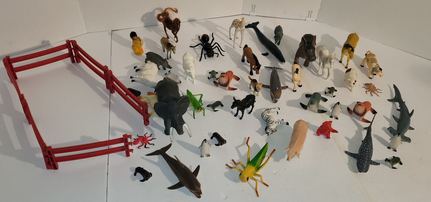 Animaux divers