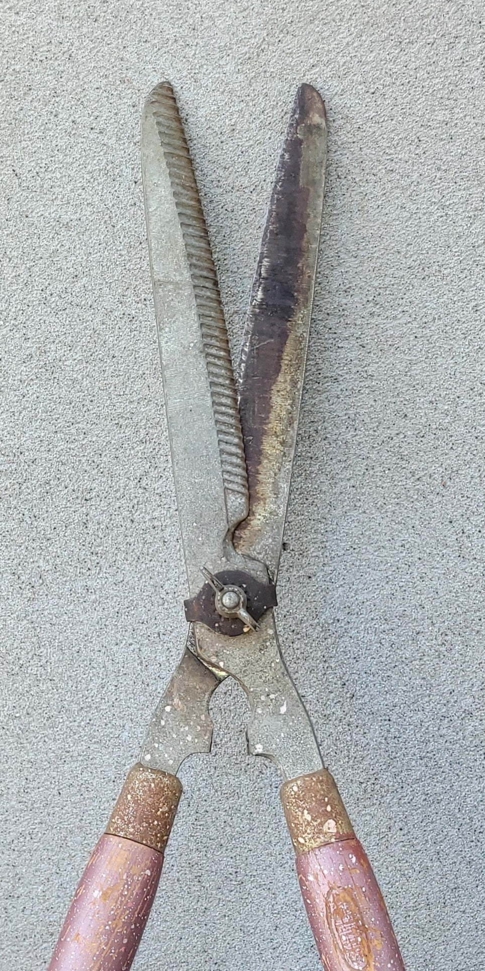 Ciseau à gazon