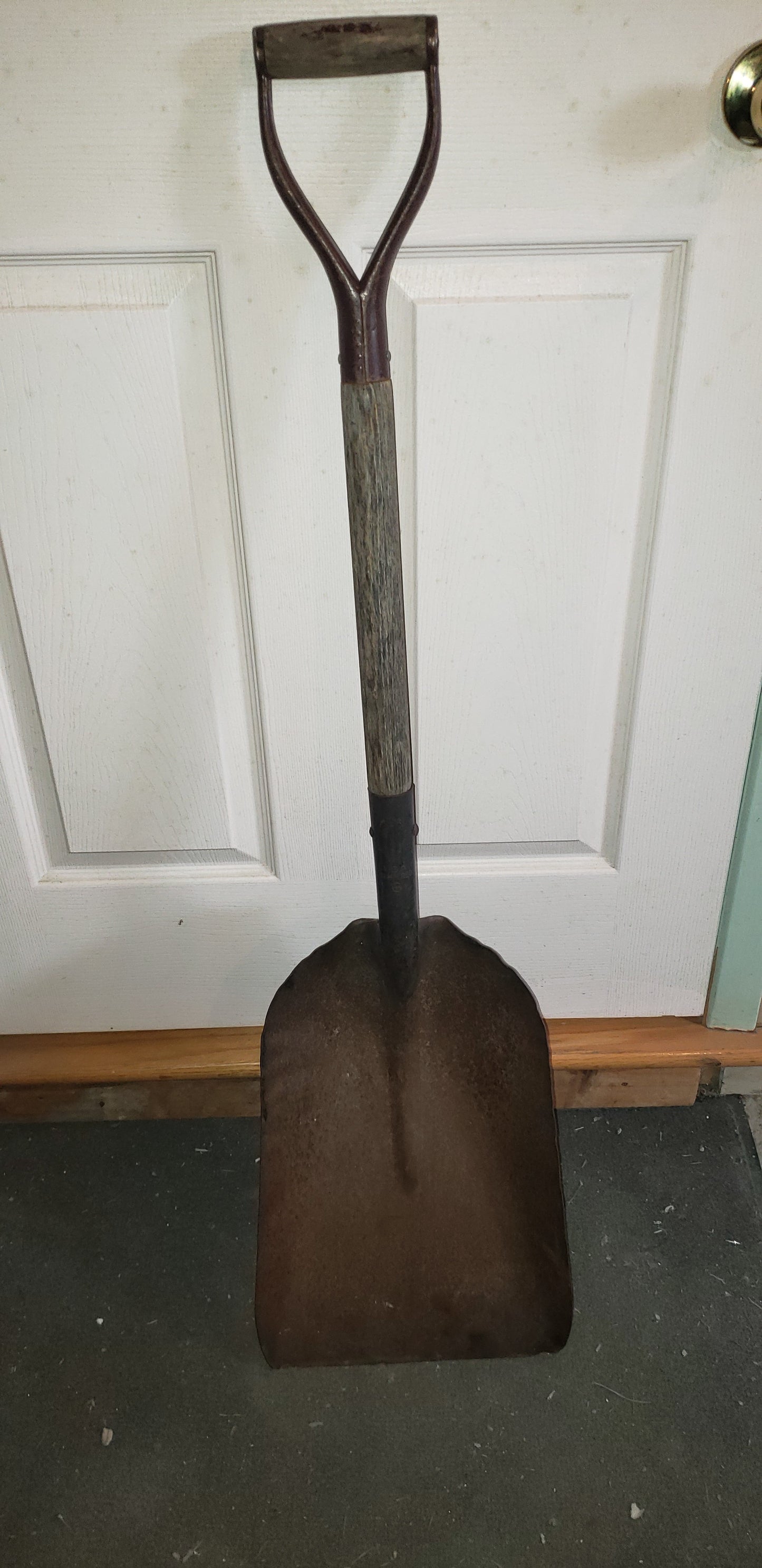 Pelle carrée 46''