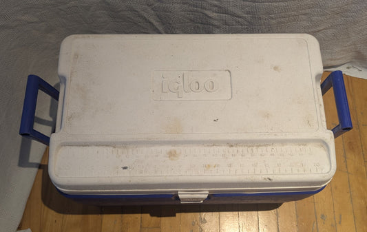 Glacière Igloo Legend 30.7L