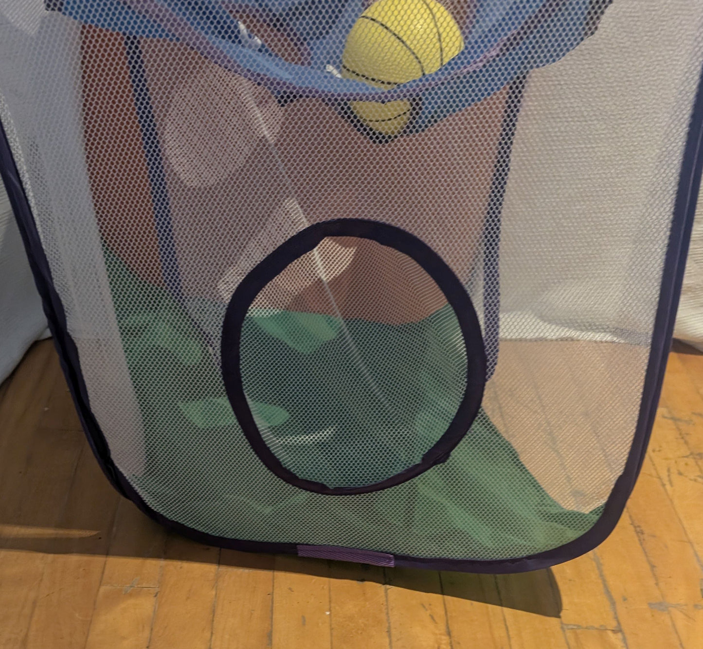 Heu de basketball en toile