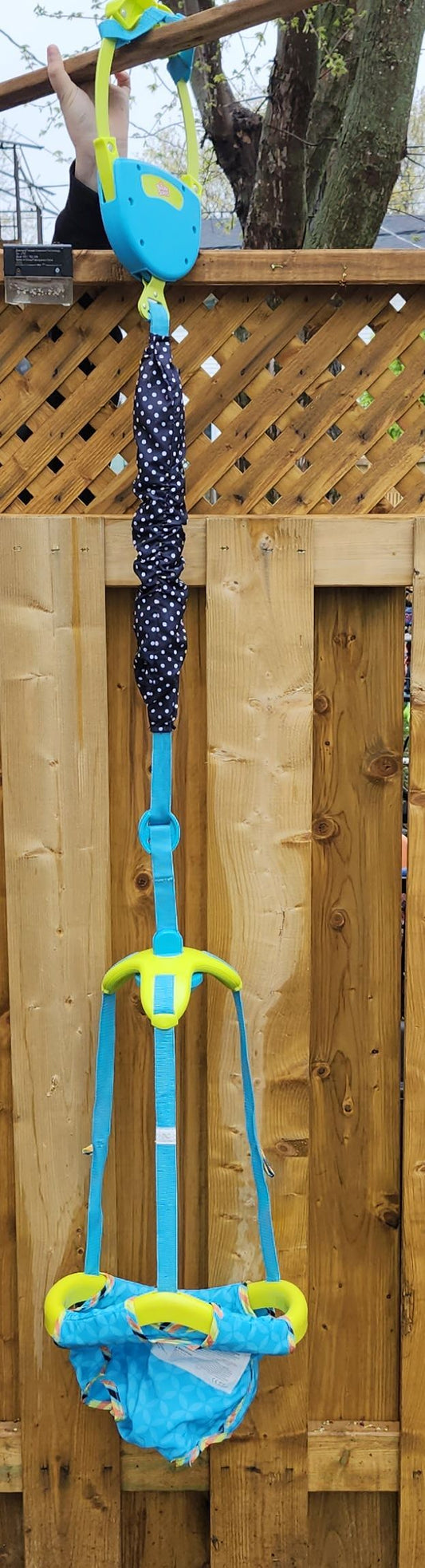 Jolly Jumper