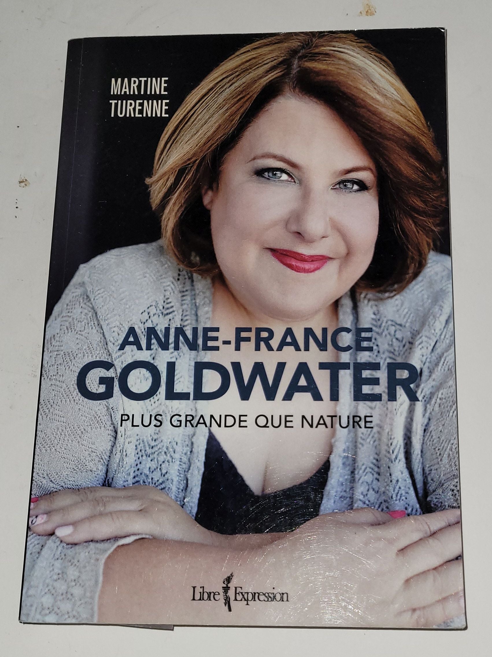 Livre Plus grande que nature de Anne-France Goldwater – La brocante à My