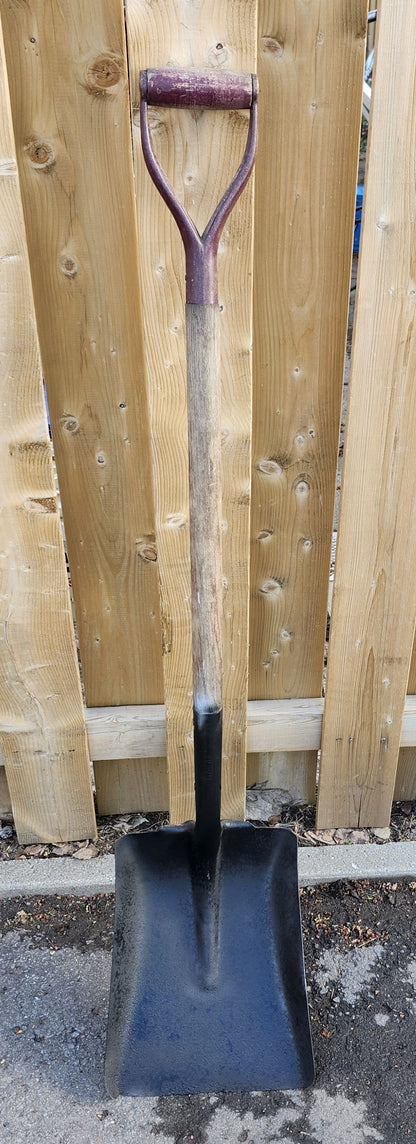 Pelle carrée 50''