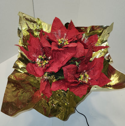 Poinsettia illuminé