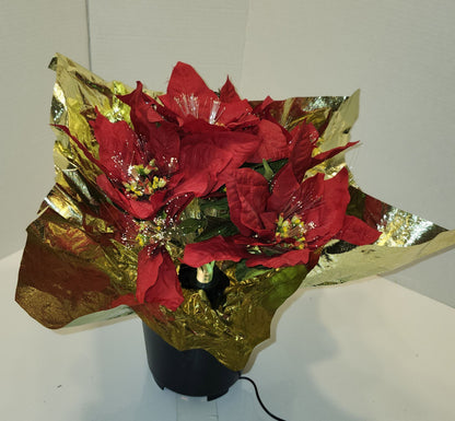 Poinsettia illuminé