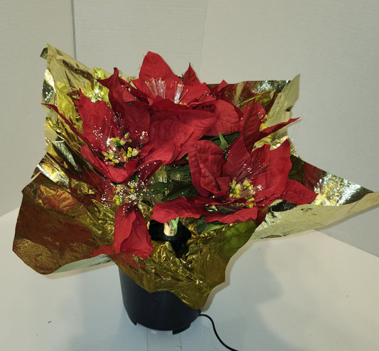 Poinsettia illuminé