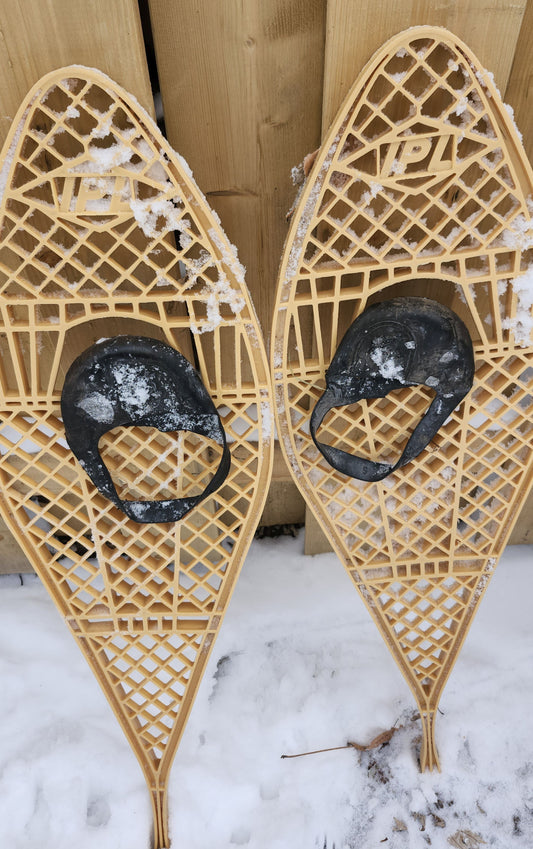 Raquette à neige IPL