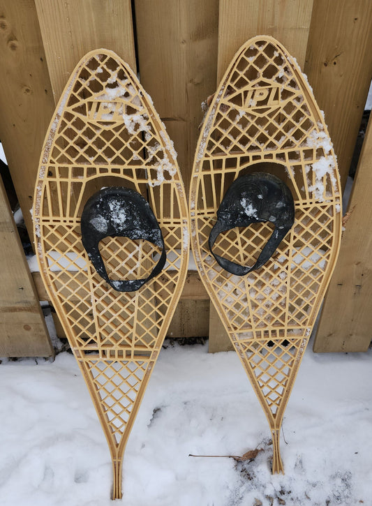 Raquette à neige IPL