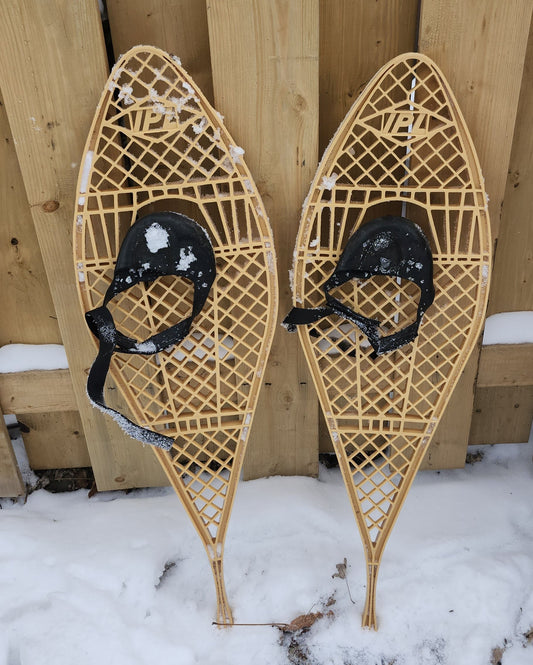 Raquette à neige IPL