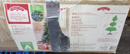 Sapin 6.5'
