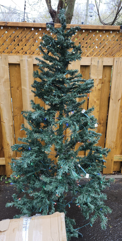 Sapin 6.5'