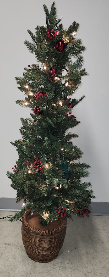 Sapin en pot 4'