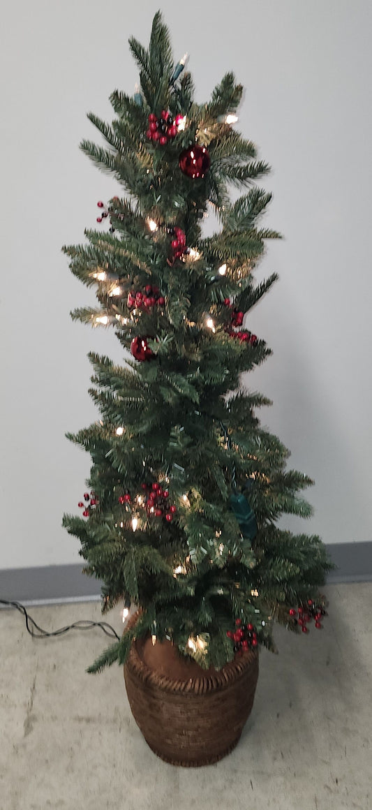 Sapin en pot 4'