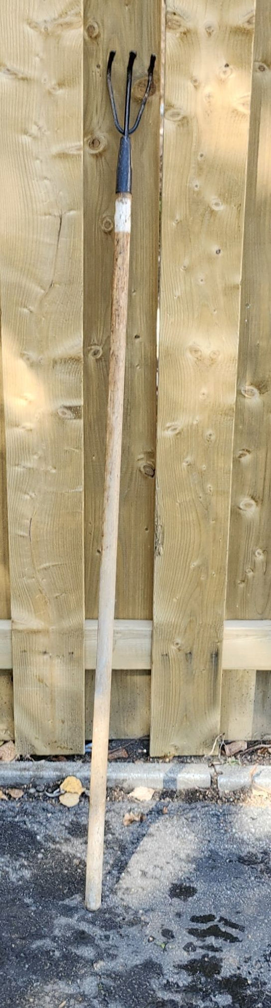 Sarcloir 3 dents