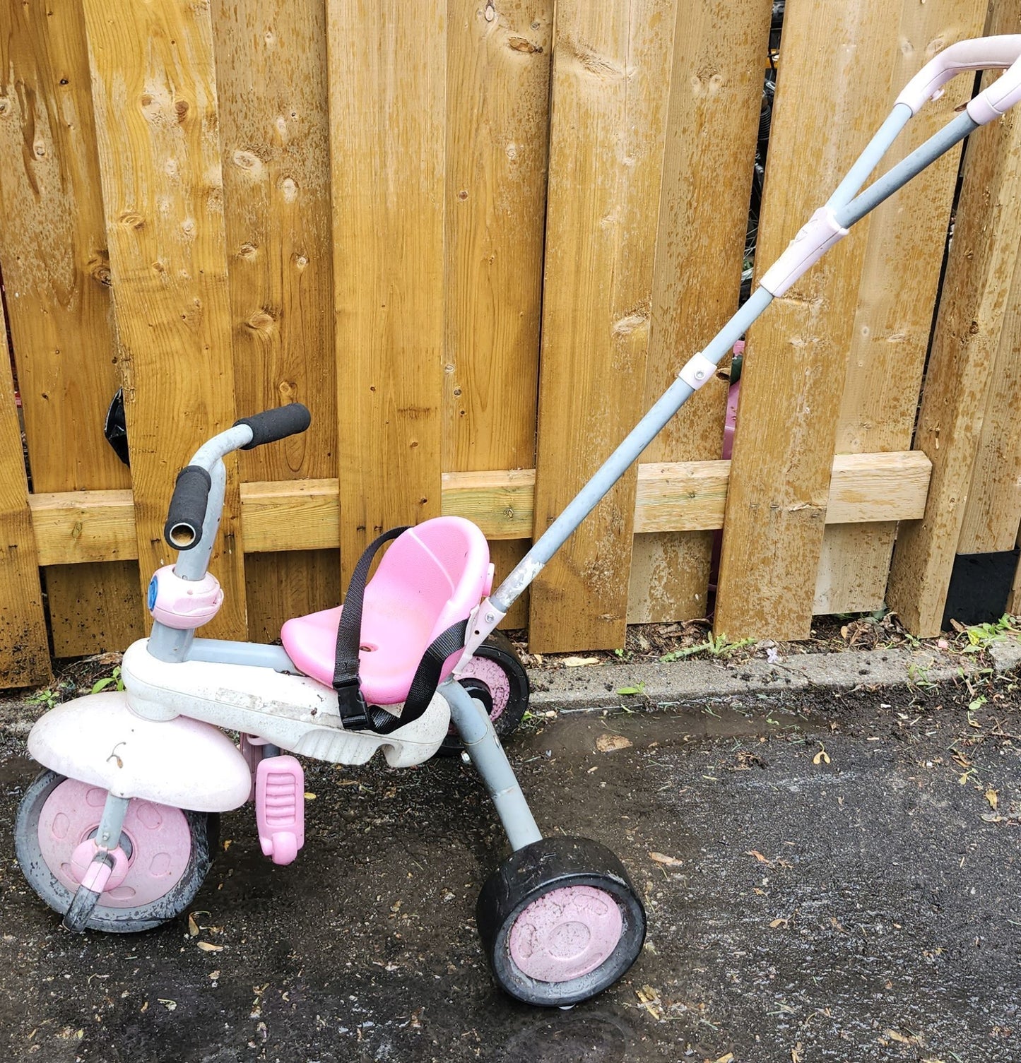 Tricycle Smartrike