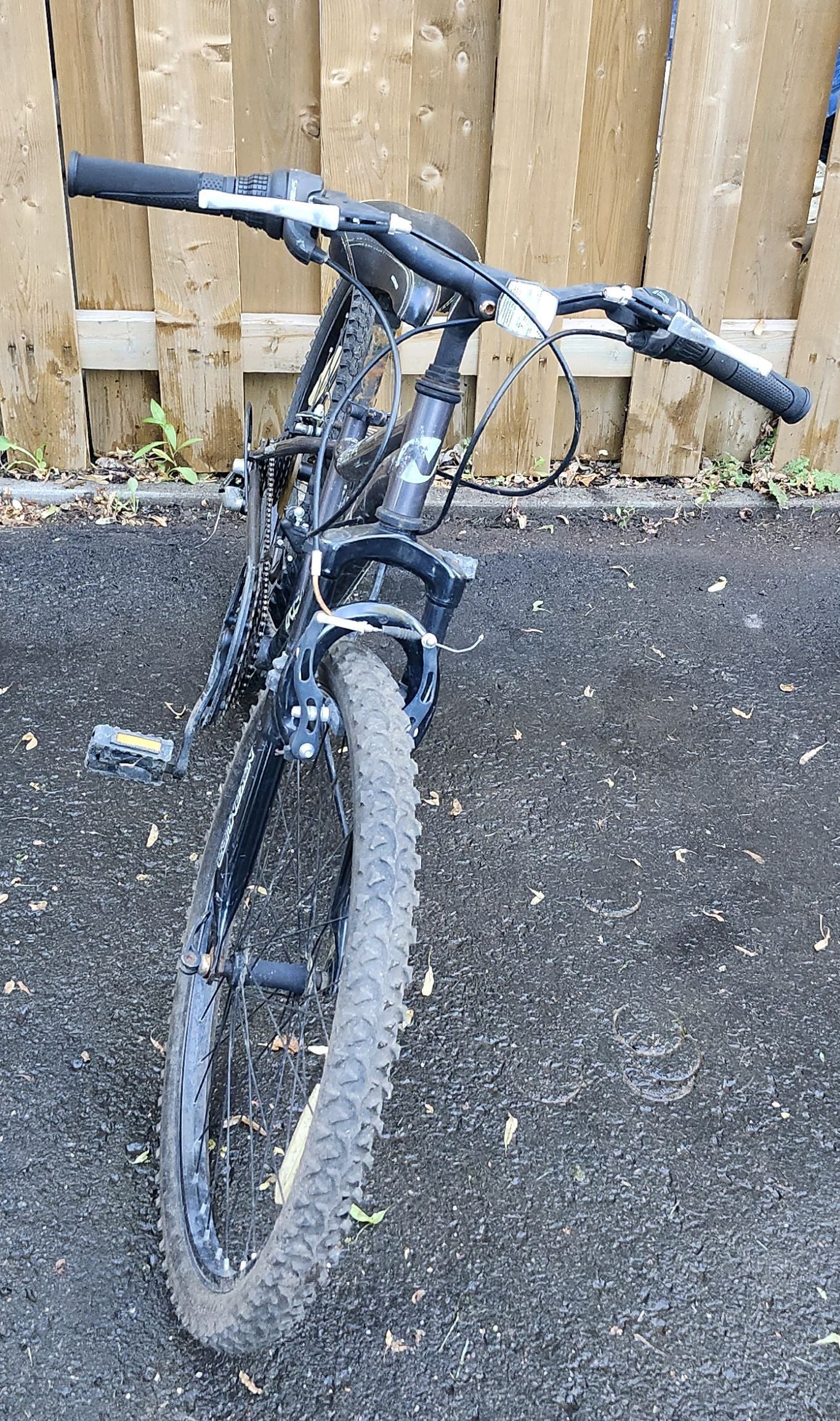 Vélo 24'' Nakamura
