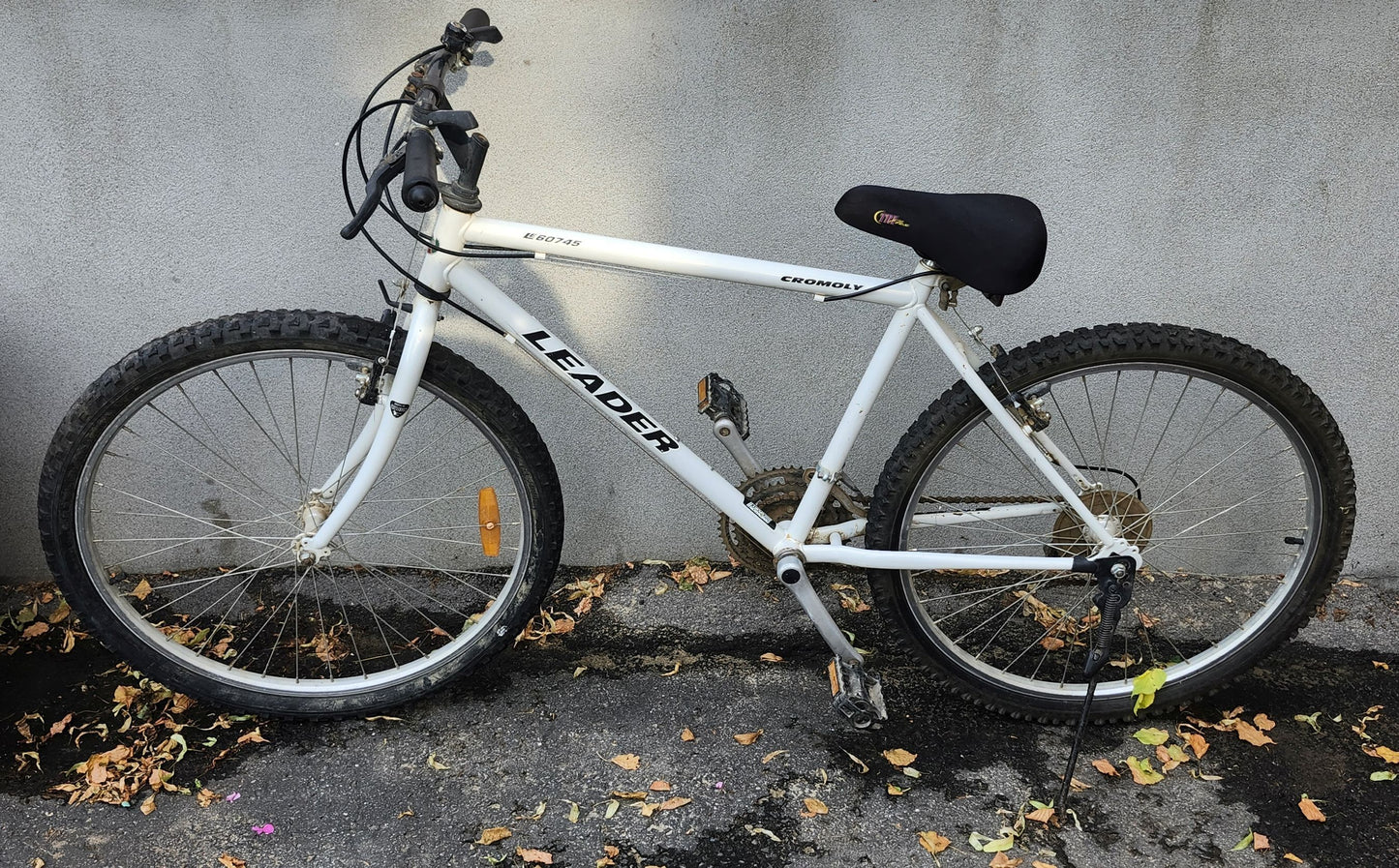 Vélo 26'' Leader